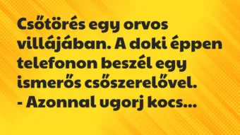 Csőtörés egy orvos villájában. A doki éppen telefonon beszél egy… – Vicc