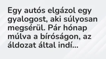 Egy autós elgázol egy gyalogost, aki súlyosan megsérül. Pár hónap… – Vicc Egy autós elgázol egy gyalogost, aki súlyosan megsérül. Pár hónap… – Vicc