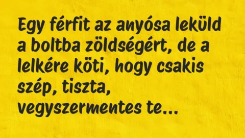 Egy férfit az anyósa leküld a boltba zöldségért, de a lelkére köti,… – Vicc
