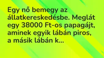 Egy nő bemegy az állatkereskedésbe. Meglát egy 38000 Ft-os papagájt, a… – Vicc