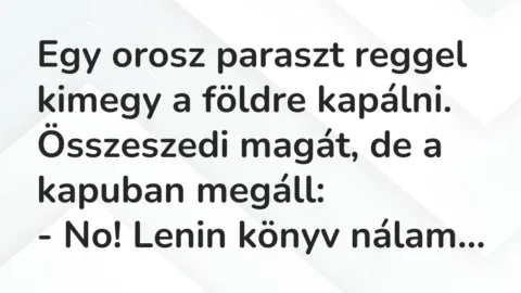 Egy orosz paraszt reggel kimegy a földre kapálni. Összeszedi magát, de… – Vicc