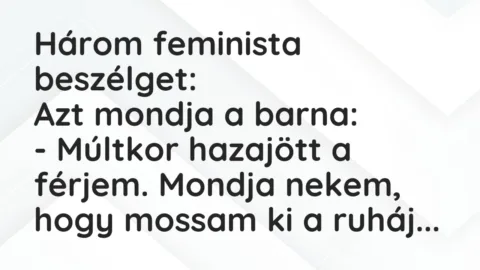 Három feminista beszélget:

Azt mondja a barna:

– Múltkor… – Vicc