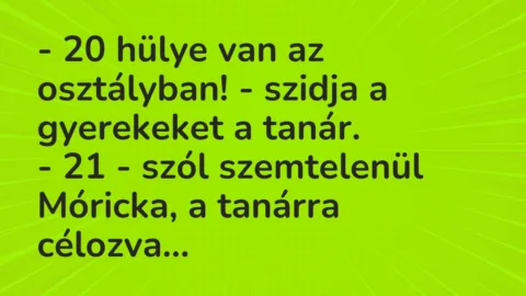 Vicc: – 20 hülye van az osztályban! – szidja a gyerekeket a tanár.

– 21…