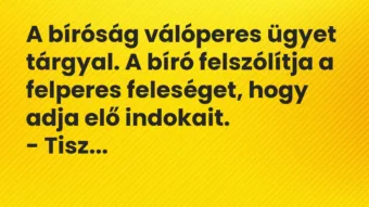 Vicc: A bíróság válóperes ügyet tárgyal. A bíró felszólítja a felperes…