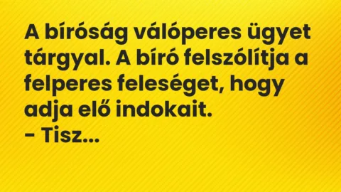 Vicc: A bíróság válóperes ügyet tárgyal. A bíró felszólítja a felperes… Vicc: A bíróság válóperes ügyet tárgyal. A bíró felszólítja a felperes…