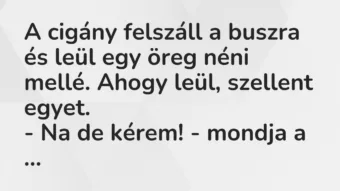 Vicc: A cigány felszáll a buszra és leül egy öreg néni mellé. Ahogy leül,… Vicc: A cigány felszáll a buszra és leül egy öreg néni mellé. Ahogy leül,…