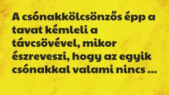 Vicc: A csónakkölcsönzős épp a tavat kémleli a távcsövével, mikor…