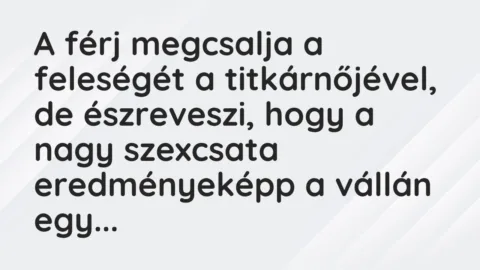 Vicc: A férj megcsalja a feleségét a titkárnőjével, de észreveszi, hogy a…