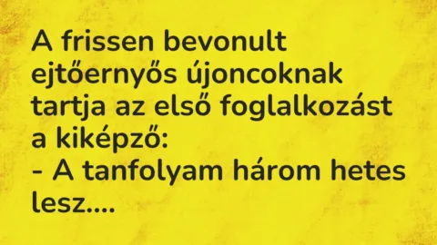 Vicc: A frissen bevonult ejtőernyős újoncoknak tartja az első foglalkozást a…