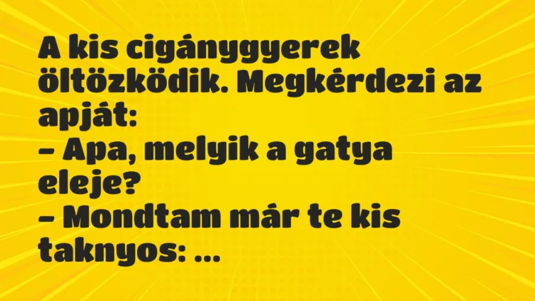 Vicc: A kis cigánygyerek öltözködik. Megkérdezi az apját:
– Apa, melyik… Vicc: A kis cigánygyerek öltözködik. Megkérdezi az apját:
– Apa, melyik…
