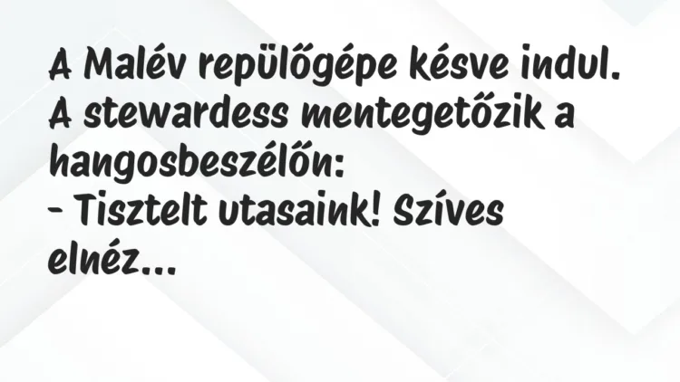 Vicc: A Malév repülőgépe késve indul. A stewardess mentegetőzik a… Vicc: A Malév repülőgépe késve indul. A stewardess mentegetőzik a…