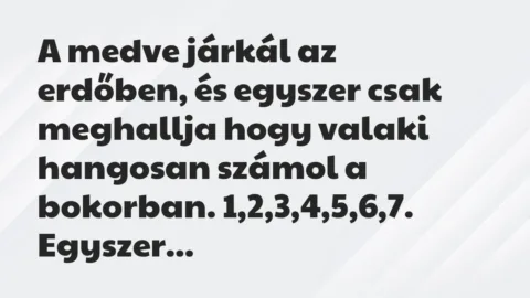 Vicc: A medve járkál az erdőben, és egyszer csak meghallja hogy valaki… Vicc: A medve járkál az erdőben, és egyszer csak meghallja hogy valaki…