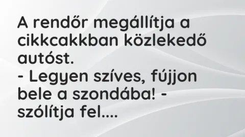 Vicc: A rendőr megállítja a cikkcakkban közlekedő autóst.

– Legyen…