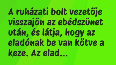 Vicc: A ruházati bolt vezetője visszajön az ebédszünet után, és látja, hogy… Vicc: A ruházati bolt vezetője visszajön az ebédszünet után, és látja, hogy…