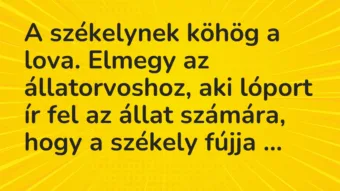 Vicc: A székelynek köhög a lova. Elmegy az állatorvoshoz, aki lóport ír fel…