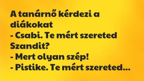 Vicc: A tanárnő kérdezi a diákokat
– Csabi. Te mért szereted… Vicc: A tanárnő kérdezi a diákokat
– Csabi. Te mért szereted…