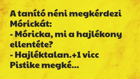 Vicc: A tanító néni megkérdezi Mórickát:

– Móricka, mi a hajlékony…