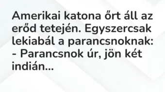 Vicc: Amerikai katona őrt áll az erőd tetején. Egyszercsak lekiabál a…