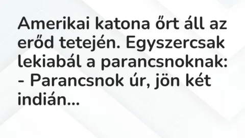 Vicc: Amerikai katona őrt áll az erőd tetején. Egyszercsak lekiabál a…