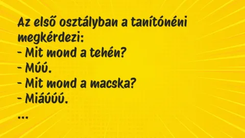 Vicc: Az első osztályban a tanítónéni megkérdezi:

– Mit mond a…