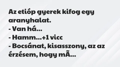 Vicc: Az etióp gyerek kifog egy aranyhalat.

– Van há…

– Hamm…