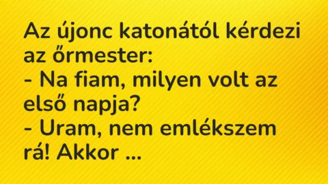Vicc: Az újonc katonától kérdezi az őrmester:
– Na fiam, milyen volt az… Vicc: Az újonc katonától kérdezi az őrmester:
– Na fiam, milyen volt az…