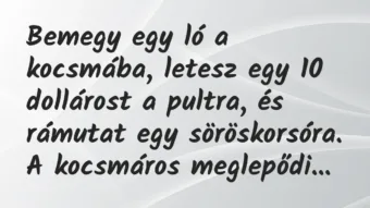 Vicc: Bemegy egy ló a kocsmába, letesz egy 10 dollárost a pultra, és rámutat… Vicc: Bemegy egy ló a kocsmába, letesz egy 10 dollárost a pultra, és rámutat…