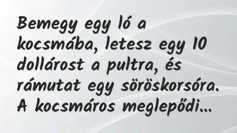 Vicc: Bemegy egy ló a kocsmába, letesz egy 10 dollárost a pultra, és rámutat… Vicc: Bemegy egy ló a kocsmába, letesz egy 10 dollárost a pultra, és rámutat…