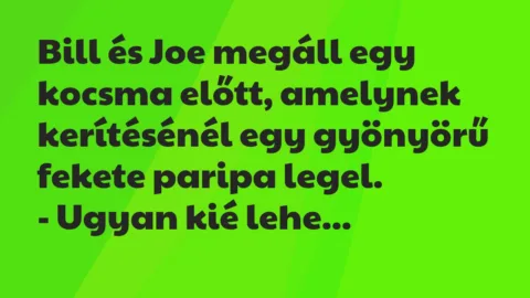 Vicc: Bill és Joe megáll egy kocsma előtt, amelynek kerítésénél egy gyönyörű…
