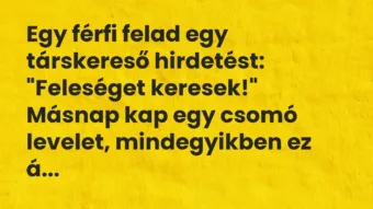 Vicc: Egy férfi felad egy társkereső hirdetést:

“Feleséget…