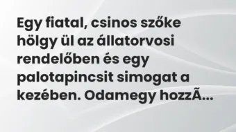 Vicc: Egy fiatal, csinos szőke hölgy ül az állatorvosi rendelőben és egy…