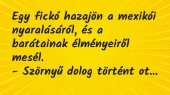 Vicc: Egy fickó hazajön a mexikói nyaralásáról, és a barátainak élményeiről… Vicc: Egy fickó hazajön a mexikói nyaralásáról, és a barátainak élményeiről…