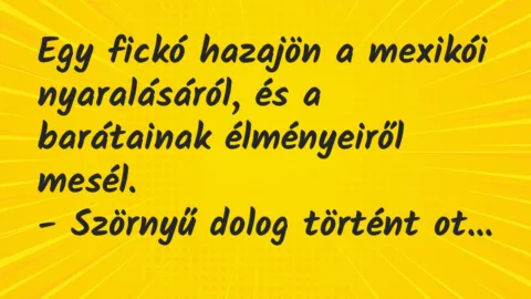 Vicc: Egy fickó hazajön a mexikói nyaralásáról, és a barátainak élményeiről… Vicc: Egy fickó hazajön a mexikói nyaralásáról, és a barátainak élményeiről…