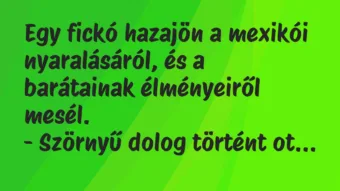 Vicc: Egy fickó hazajön a mexikói nyaralásáról, és a barátainak élményeiről… Vicc: Egy fickó hazajön a mexikói nyaralásáról, és a barátainak élményeiről…