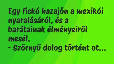 Vicc: Egy fickó hazajön a mexikói nyaralásáról, és a barátainak élményeiről… Vicc: Egy fickó hazajön a mexikói nyaralásáról, és a barátainak élményeiről…