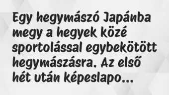 Vicc: Egy hegymászó Japánba megy a hegyek közé sportolással egybekötött…