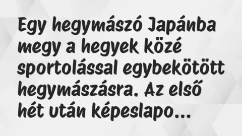 Vicc: Egy hegymászó Japánba megy a hegyek közé sportolással egybekötött… Vicc: Egy hegymászó Japánba megy a hegyek közé sportolással egybekötött…