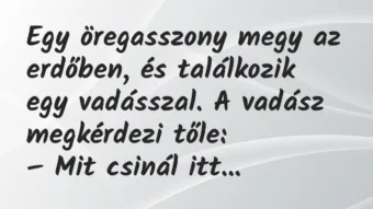 Vicc: Egy öregasszony megy az erdőben, és találkozik egy vadásszal… Vicc: Egy öregasszony megy az erdőben, és találkozik egy vadásszal…