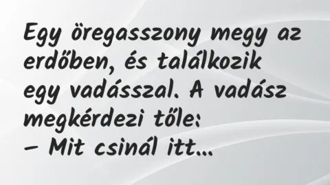Vicc: Egy öregasszony megy az erdőben, és találkozik egy vadásszal…