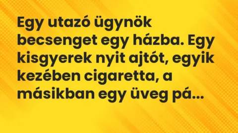 Vicc: Egy utazó ügynök becsenget egy házba. Egy kisgyerek nyit ajtót, egyik… Vicc: Egy utazó ügynök becsenget egy házba. Egy kisgyerek nyit ajtót, egyik…