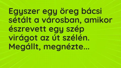 Vicc: Egyszer egy öreg bácsi sétált a városban, amikor észrevett egy szép virágot az…