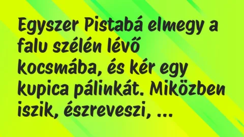 Vicc: Egyszer Pistabá elmegy a falu szélén lévő kocsmába, és kér egy kupica pálinkát…