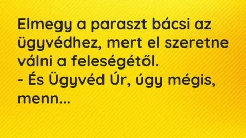 Vicc: Elmegy a paraszt bácsi az ügyvédhez, mert el szeretne válni a…