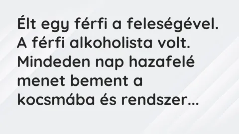 Vicc: Élt egy férfi a feleségével. A férfi alkoholista volt. Mindeden nap…