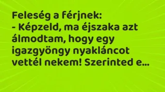 Vicc: Feleség a férjnek:
– Képzeld, ma éjszaka azt álmodtam, hogy egy… Vicc: Feleség a férjnek:
– Képzeld, ma éjszaka azt álmodtam, hogy egy…