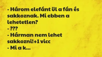 Vicc: – Három elefánt ül a fán és sakkoznak. Mi ebben a lehetetlen?

-…