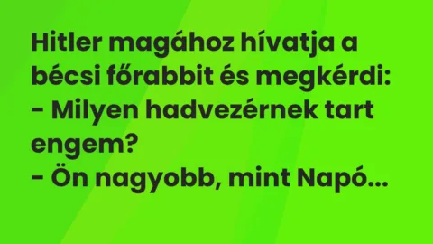 Vicc: Hitler magához hívatja a bécsi főrabbit és megkérdi:

– Milyen…