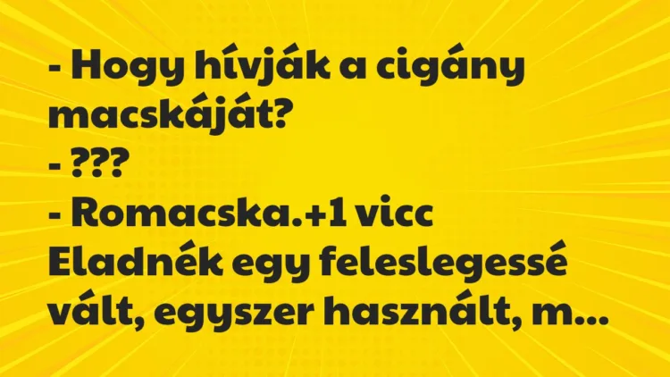 Vicc: – Hogy hívják a cigány macskáját?
– ???
– Romacska. Vicc: – Hogy hívják a cigány macskáját?
– ???
– Romacska.