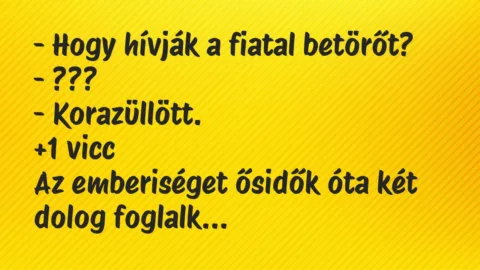 Vicc: – Hogy hívják a fiatal betörőt?
– ???
-… Vicc: – Hogy hívják a fiatal betörőt?
– ???
-…