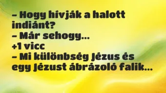 Vicc: – Hogy hívják a halott indiánt?

– Már sehogy…